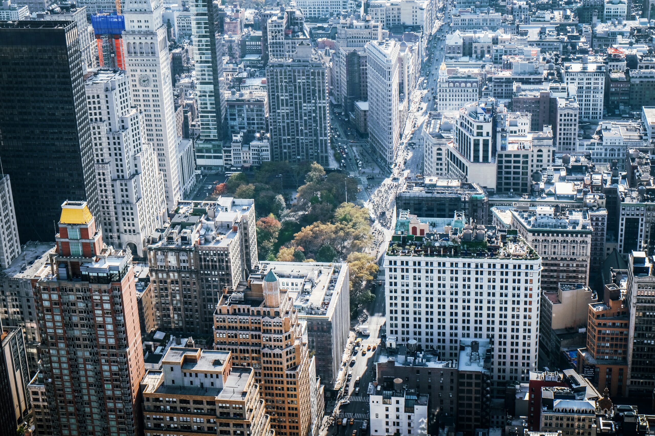 Flat Iron Building, from the Empire State Building